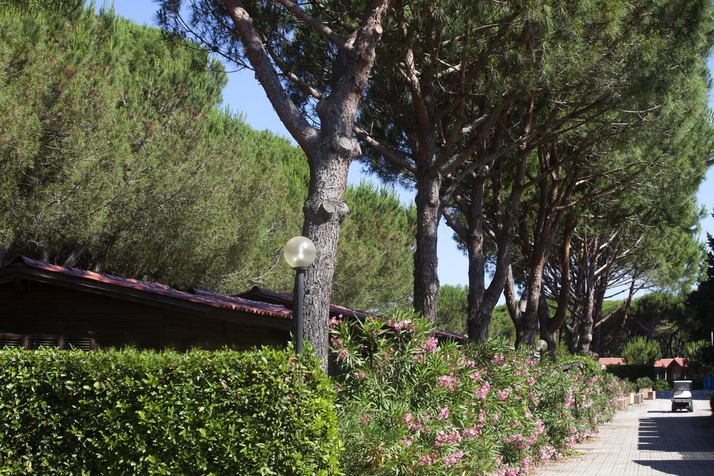Camping Village Oasi Campsite Albinia
