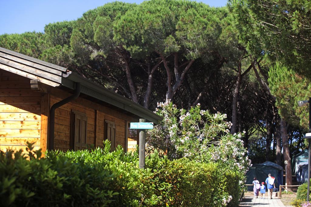 Village Oasi Campingplatz